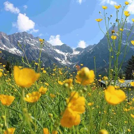 Appartamento Ursus Hinterthal