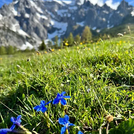 アパート Ursus Hinterthal *